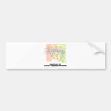 Anatomy Of Nature's Finest Engineer (Entomology) Bumper Stickers