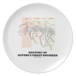Anatomy Of Nature's Finest Engineer (Worker Ant) Party Plates