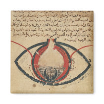 Anatomy of the Eye, from a book on eye diseases magnets