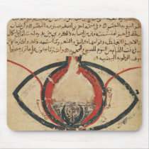 Anatomy of the Eye, from a book on eye diseases mousepads