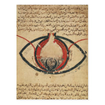 Anatomy of the Eye, from a book on eye diseases postcards