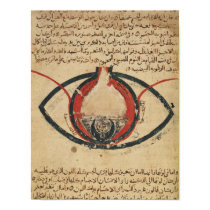 Anatomy of the Eye, from a book on eye diseases posters