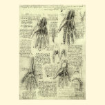 Anatomy of the Human Hand by Leonardo da Vinci posters