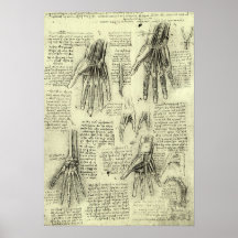 Anatomy of the Human Hand by Leonardo da Vinci Poster