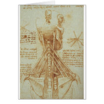 Anatomy of the Neck by Leonardo Da Vinci c. 1515 Cards