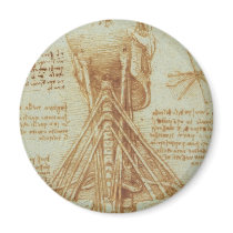 Anatomy of the Neck by Leonardo Da Vinci c. 1515 Magnet