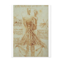Anatomy of the Neck by Leonardo Da Vinci c. 1515 Post Cards