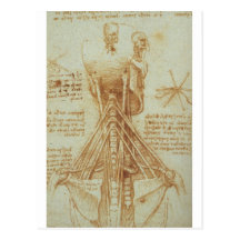 Anatomy of the Neck by Leonardo Da Vinci c. 1515 Post Cards