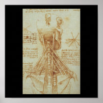 Anatomy of the Neck by Leonardo Da Vinci c. 1515 Print