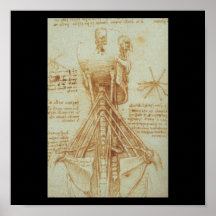 Anatomy of the Neck by Leonardo Da Vinci c. 1515 Print