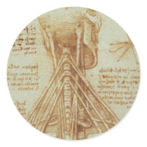 Anatomy of the Neck by Leonardo Da Vinci c. 1515 Stickers