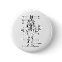 ANATOMY SKELETON T-SHIRTS AND GIFTS PINBACK BUTTON
