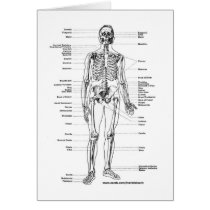 ANATOMY SKELETON T-SHIRTS AND GIFTS CARDS