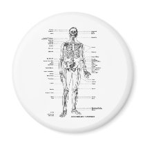 ANATOMY SKELETON T-SHIRTS AND GIFTS FRIDGE MAGNETS