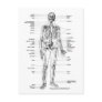 ANATOMY SKELETON T-SHIRTS AND GIFTS POSTCARD