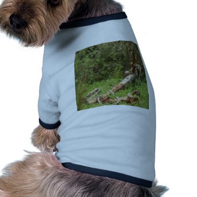 Anchors Away Dog Clothing by sharonsphotography