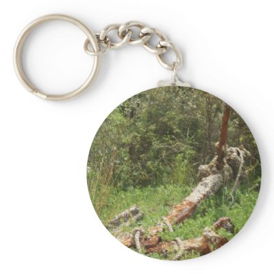 Anchors Away Keychain by sharonsphotography