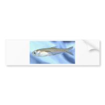 Anchovy Love Bumper Stickers