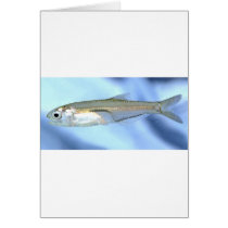 Anchovy Love Greeting Cards