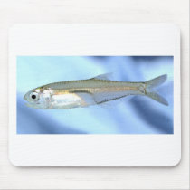 Anchovy Love Mouse Pad