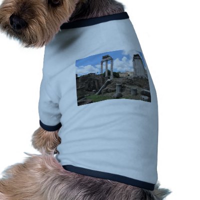 Ancient Agora temple pillar ruins Pet Tee by gothicarts