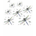 Ancient Dragonfly Fleet T-Shirt