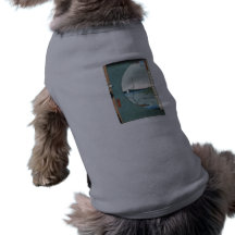 Ancient Japanese Art Dog Clothes