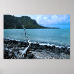Ancient Oceans Print