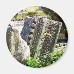 Ancient ruins in Ephesus Magnets