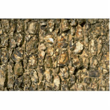 Ancient stone wall photo sculptures