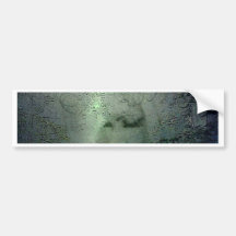 ANCIENT WAYS BUMPER STICKER