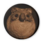 Ancient Wisdom magnets