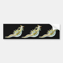 Ancula gibbosa bumper sticker