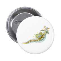 Ancula gibbosa pinback buttons