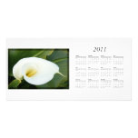 And lilies white... Calender 2011 Photo Cards