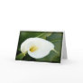 And lilies white...