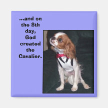 and on the 8th day,God created the cavalier magnet