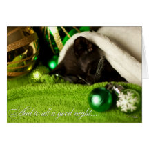 And To All A Good Night Kitty Card