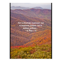 And to knowledge temperance; and to temperance pat postcards