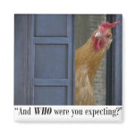 "And WHO were you expecting?"  Magnet