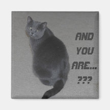 And you are.....??? fridge magnets