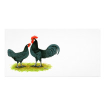 Andalusian Chickens Photo Greeting Card