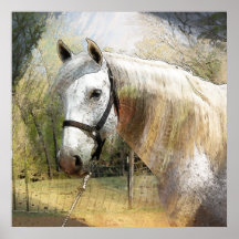 ANDALUSIAN HORSE PORTRAIT PRINT