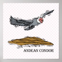 Andrea the Andea Condor Poster