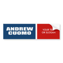 ANDREW CUOMO FOR GOVERNOR