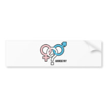 Androgyny Bumper Sticker