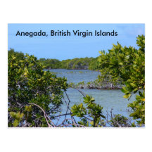 Anegada BVI Post Card