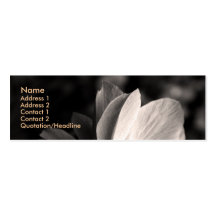 Anemone 3 business cards