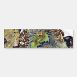 Anemone Bumper Stickers