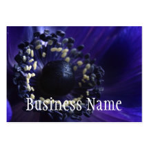 Anemone Business Card